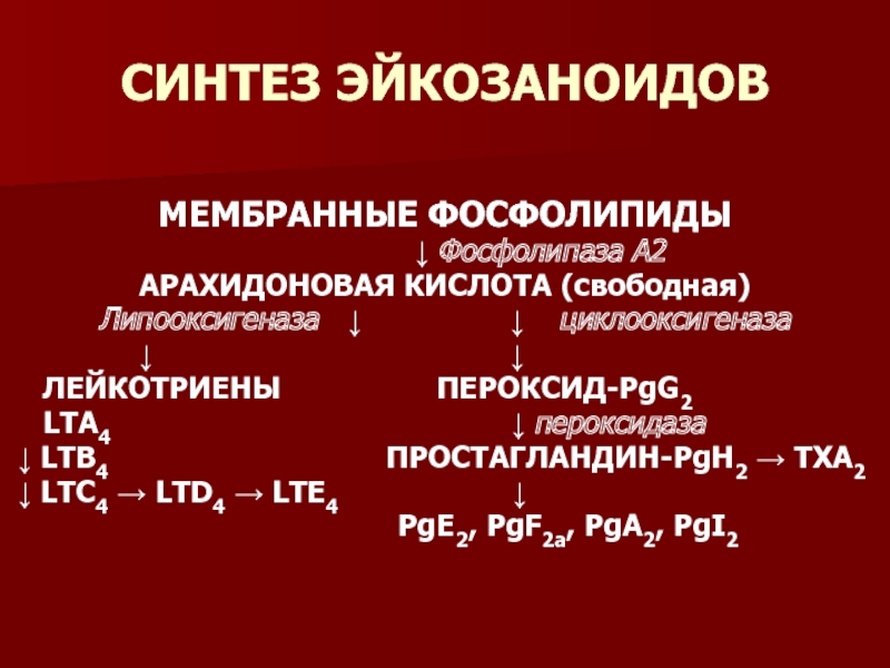 Свободная кислота. Фосфолипаза а2 функции. Панкреатическая фосфолипаза а2. Синтеза фосфолипазы а2. Фосфолипаза а2 биохимия.