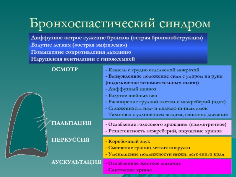 Бронхиальная астма пропедевтика внутренних болезней презентация