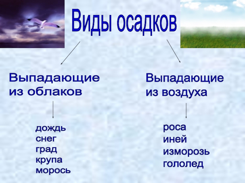 Заполните схему атмосферные осадки осаждающиеся из воздуха выпадающие из облаков