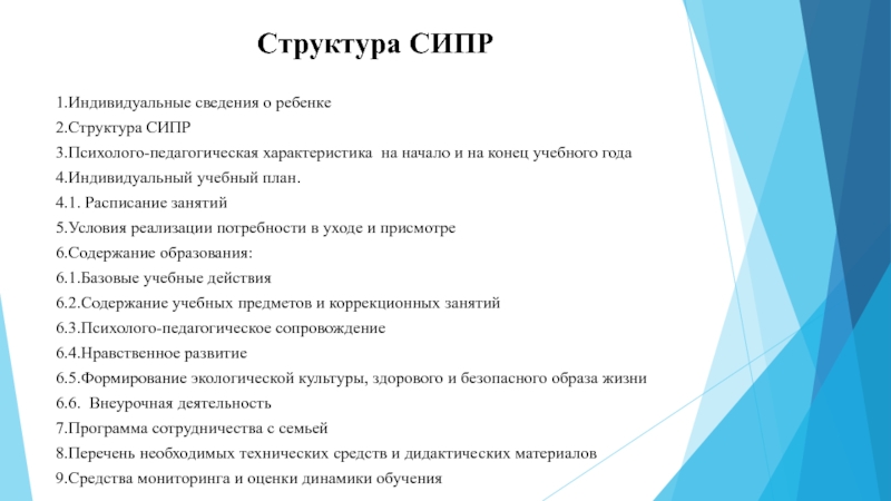 Специальная индивидуальная программа развития и индивидуальный учебный план включает в себя