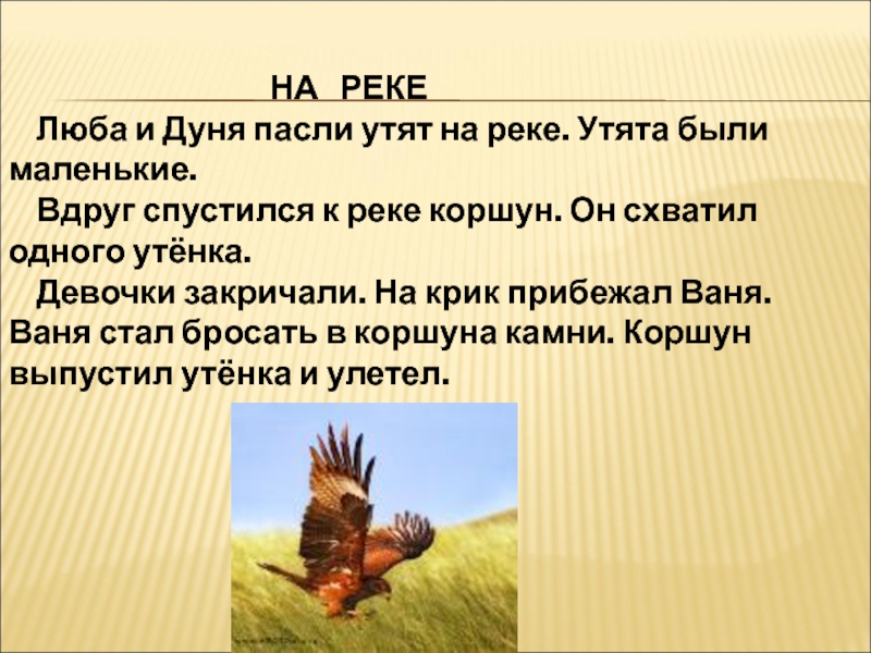 Коршун анализ. Пасти утят. Коршун и утята. Имена для уточек девочек. Коршуны схватил утенка.