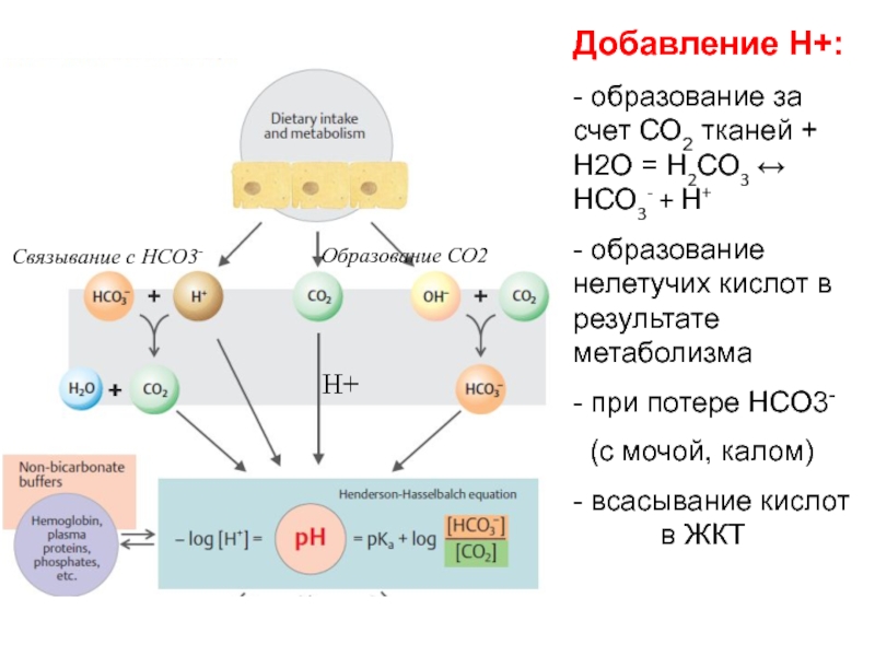 Образование h2o