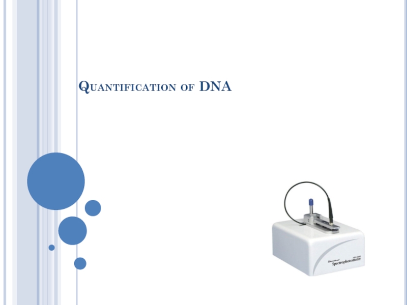Презентация Quantification of DNA