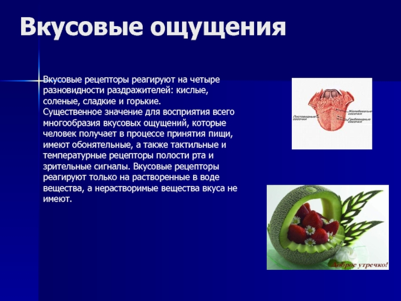 Ощущение презентация по психологии