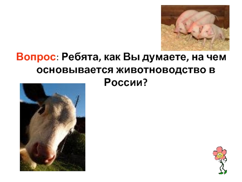 Вопрос: Ребята, как Вы думаете, на чем основывается животноводство в России?
