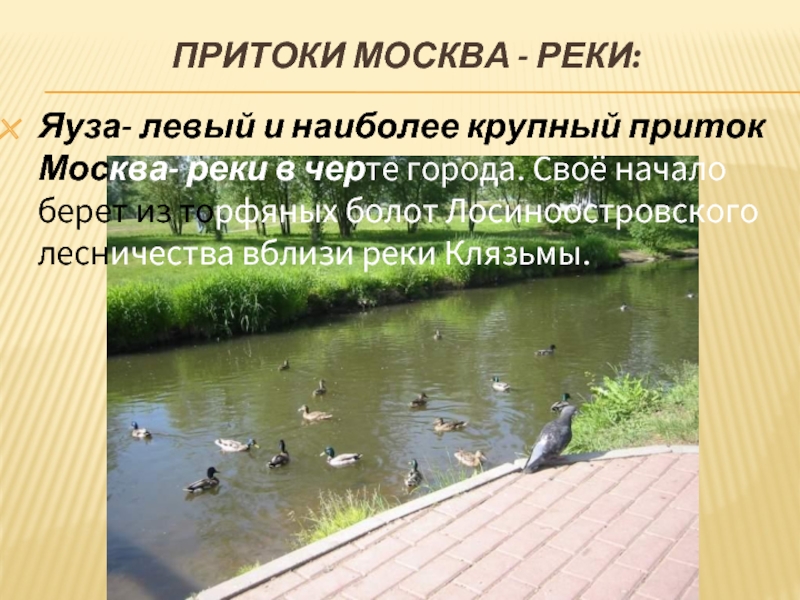 Водные богатства московской области окружающий мир