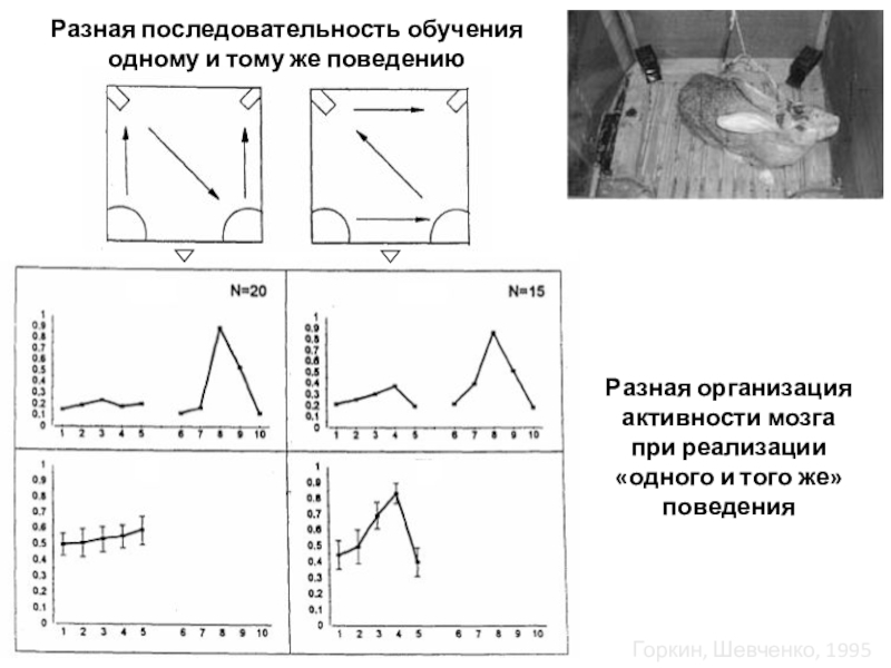 Различные последовательности