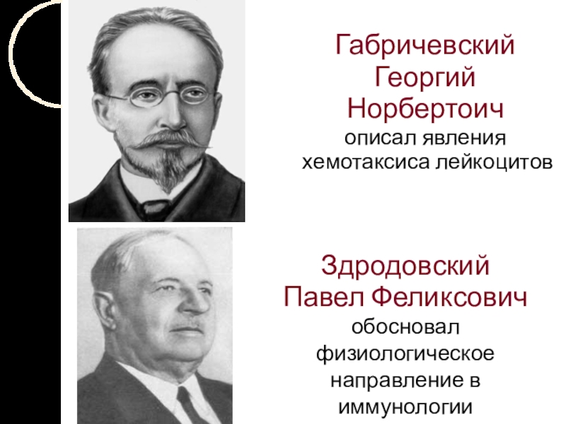 Габричевский георгий норбертович презентация