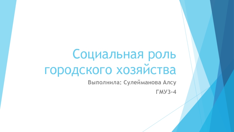 Презентация Социальная роль городского хозяйства