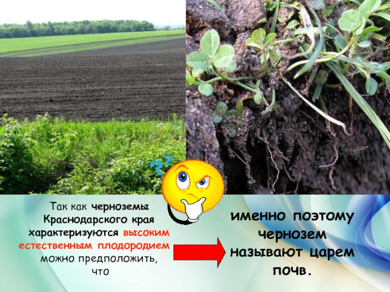 Царем почв называют. Почвы Краснодарского края. Почвы Краснодарского к. Охрана почвы. Защита почвы.
