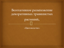 Вегетативное размножение декоративных травянистых растений