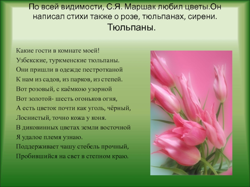 Стихи про тюльпаны и весну. Стихи про тюльпаны. Стихотворение про тюльпан. Стихи о цветах тюльпанах. Стихи про цветок тюльпан.