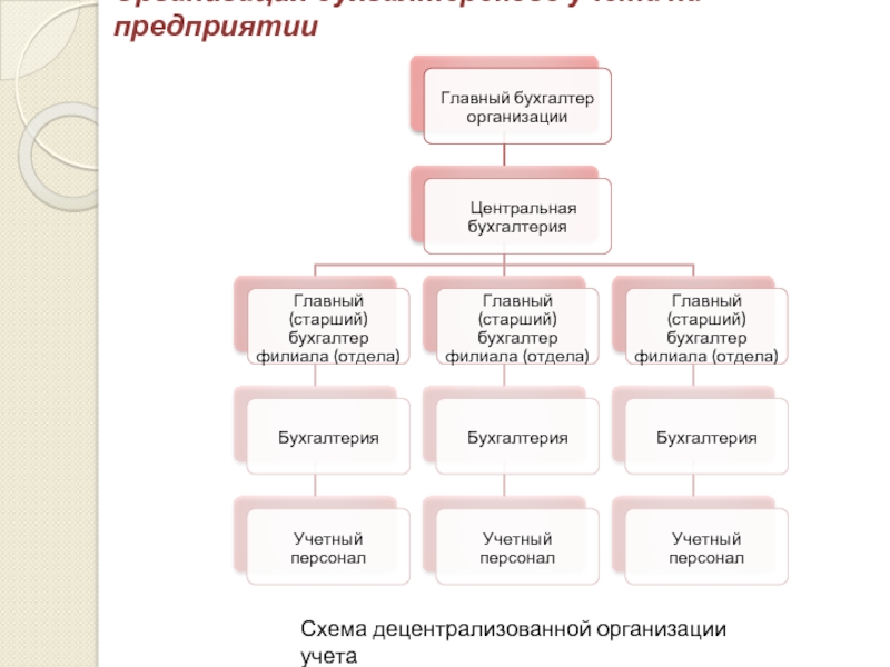 Схема организации бухгалтерского учета