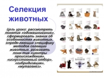 Селекция животных (9 класс)