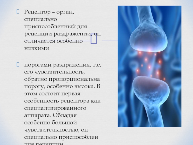 Рецепторы органа. Рецепторы. Рецептор это. Рецепторы это кратко. Высокая чувствительность рецепторов.