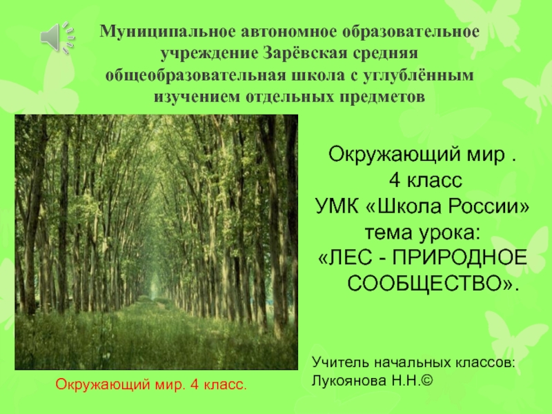 Природное сообщество леса составляют. Презентация на тему лес. Лес для презентации. Природное сообщество лес. Тема урока лес.