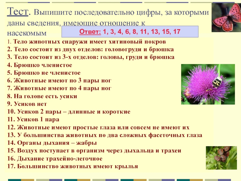 Тест насекомые ответы. Выпишите последовательно цифры за которыми даны сведения. Выпишите сведения имеющие отношение к ракообразным. Сведения имеющие отношение к паукообразным.