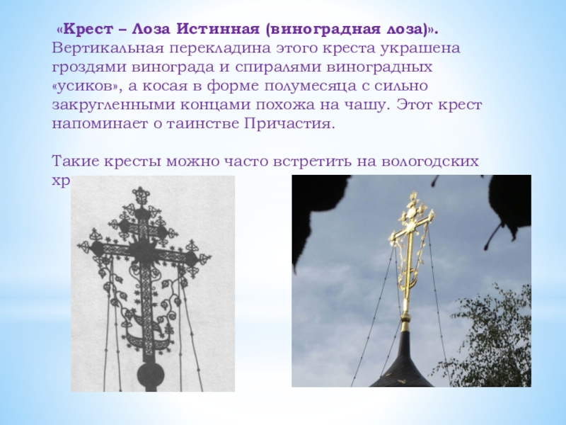 Почему на православных крестах полумесяц. Полумесяц на православном кресте. Крест с лозой. Кресты с полумесяцем на храмах. Православный крест с виноградной лозой.