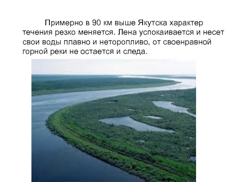 Примерно в 90 км выше Якутска характер течения резко меняется. Лена успокаивается