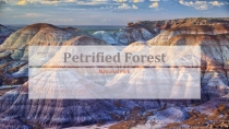 Petrified Forest 