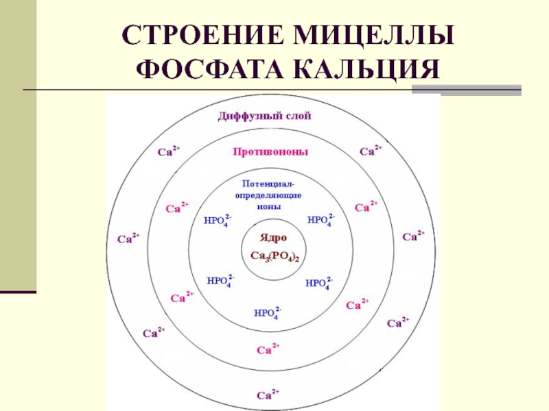 Схема строения коллоидной мицеллы