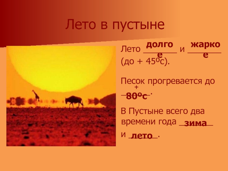 Условия в пустыне. Сколько в пустыне времен года. Продолжительность лета и зимы в пустыне. Какая зима и лето в пустыне. Сколько в пустыни времен года.