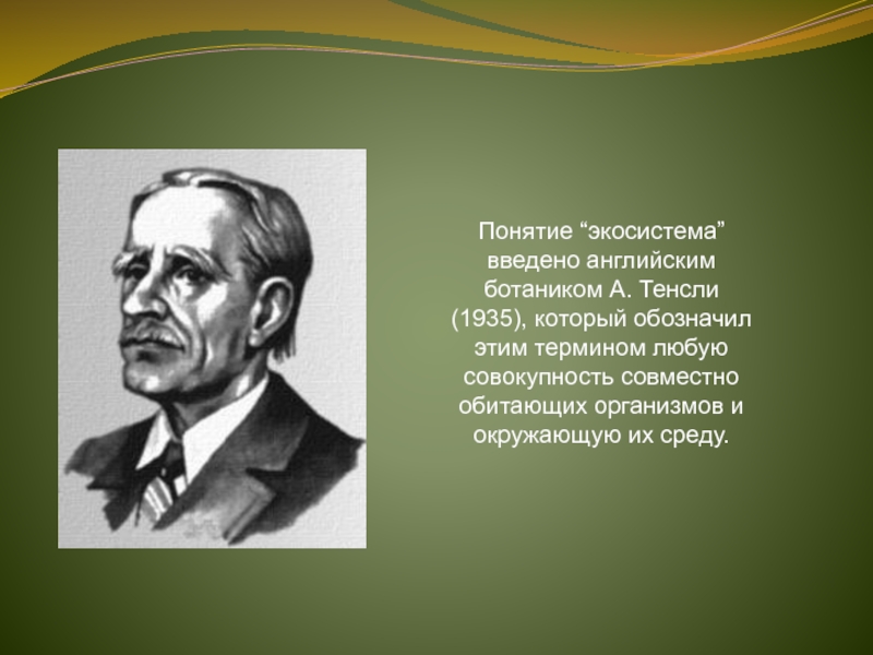 Какие открыты. Артур Тенсли (1871 - 1955). Экосистема Тенсли 1935. Артур Тенсли экосистема. Артур Тенсли британский ботаник.