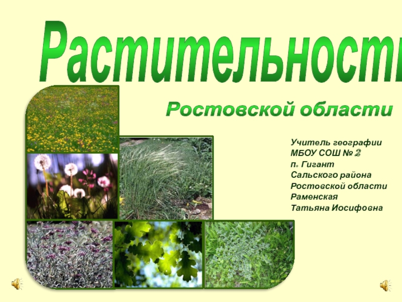Растительность Ростовской области