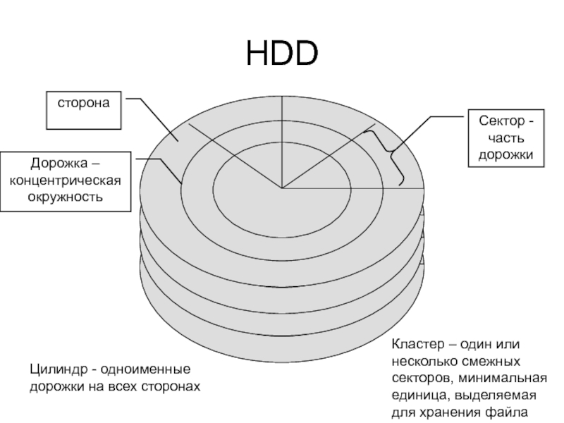 Секторы или сектора. Физическая структура сектора жесткого диска. Схема секторов на жестком диске. Жесткий диск схема цилиндров. Цилиндр жесткого диска.