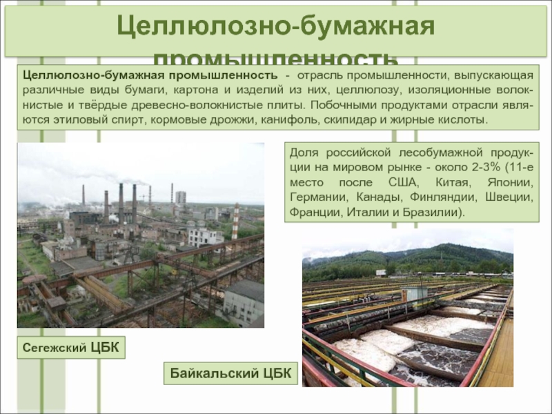 Целлюлозно-бумажная промышленностьДоля российской лесобумажной продук-ции на мировом рынке - около 2-3% (11-е место после США, Китая, Японии,