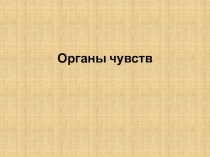 Органы чувств