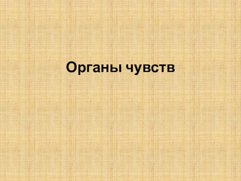 Органы чувств