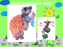 Что общего о разных растений