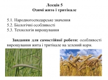 Лекція 5
Озимі жито і тритікале
5.1. Народногосподарське значення
5.2