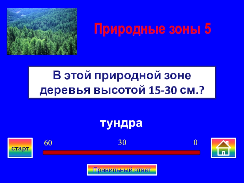 Игра по географии 8 класс презентация