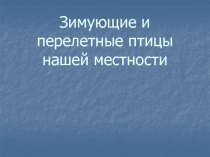 Зимующие птицы России