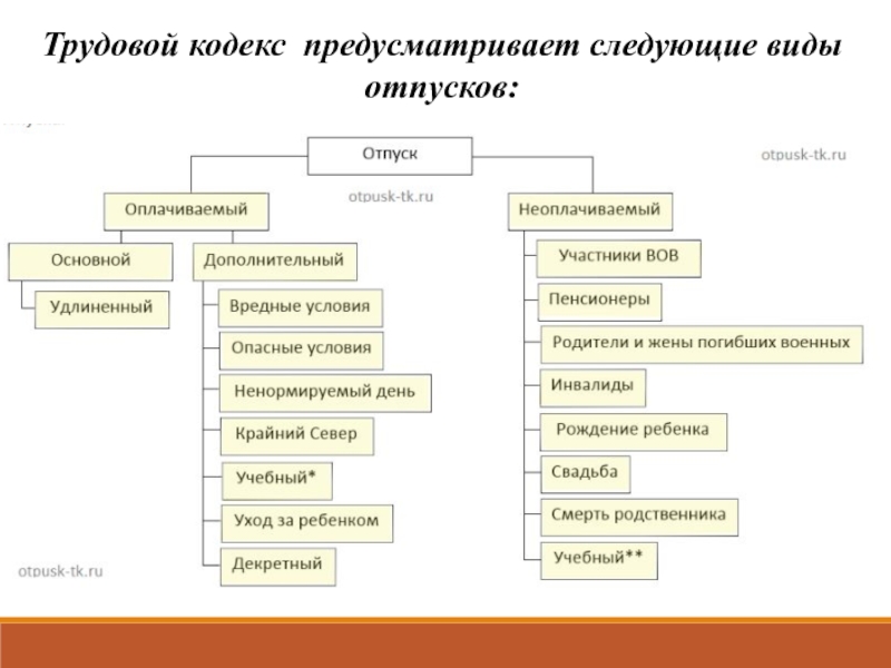 Виды отпусков схема