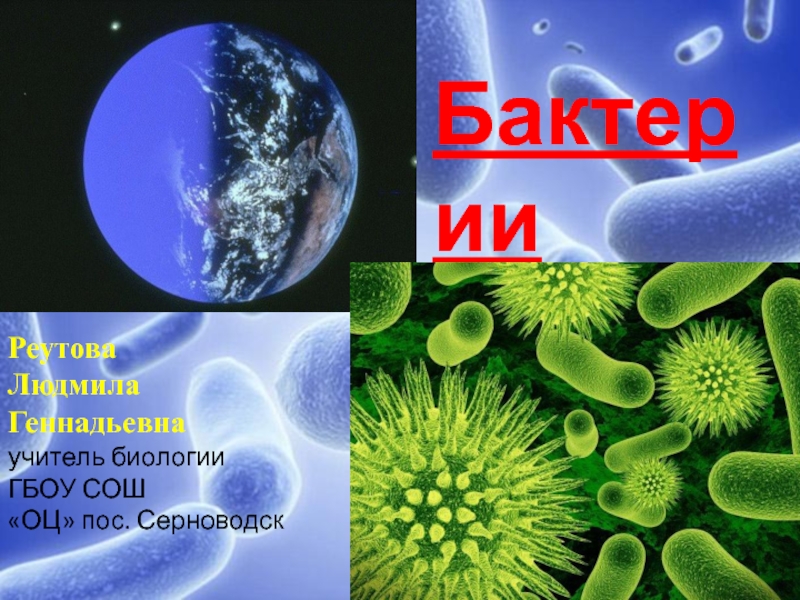 Бактерии 5 класс