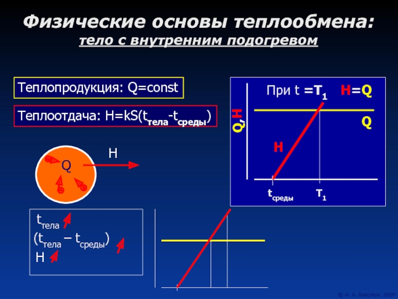 Теплообмен тела