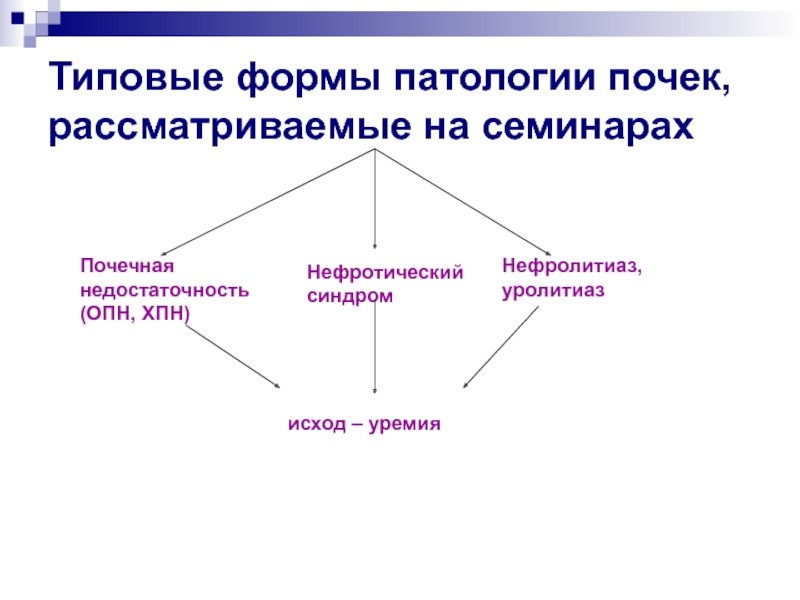 Почечная недостаточность патофизиология презентация