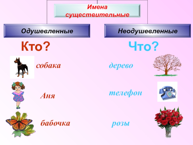 Обобщение по теме имя существительное 5 класс презентация