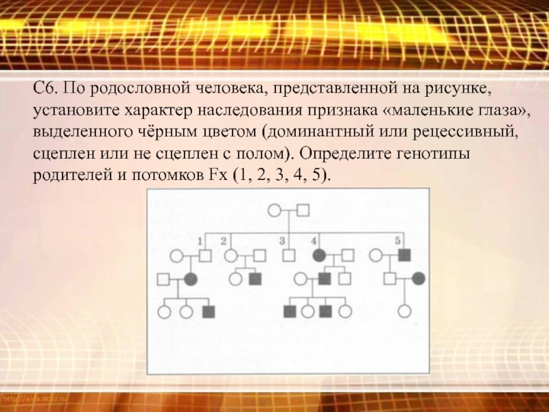 По родословной представленной на рисунке. По родословной представленной на рисунке установите. Определить генотип родителей. Наследование признака маленькие глаза. Родословная по признаку окраски глаз.