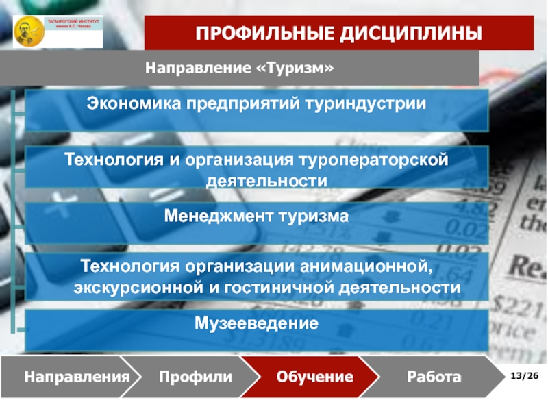 Профиль педагогического образования. Направления и профили педагогического образования. Профиль для экономики. Туризм направление бакалавриата.