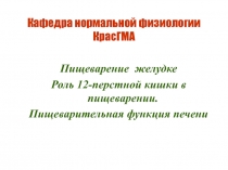 Пищеварение в желудке