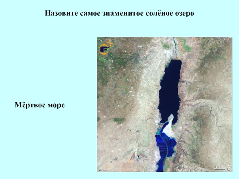Самое большое море в евразии. Самое соленое море озеро. Мертвое море. Мертвое море на карте. Мертвое озеро на карте.