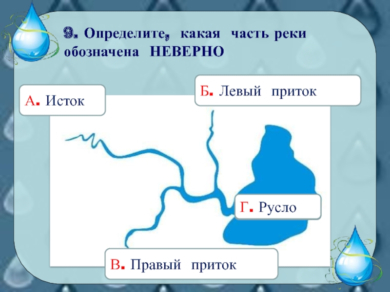 Назовите правые и левые притоки лены