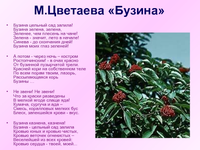 Реферат: «Цветовая картина мира М. Цветаевой»