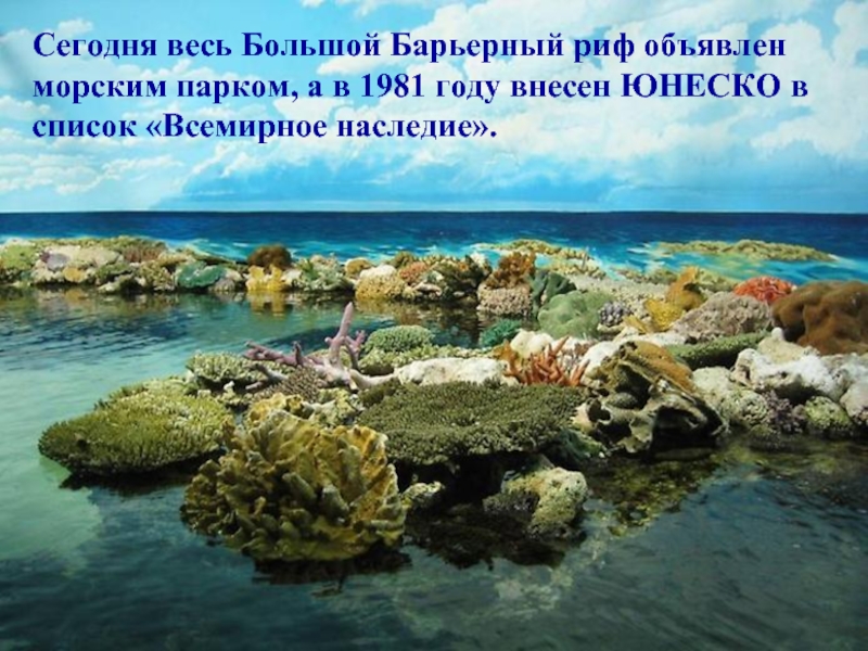 Сегодня весь Большой Барьерный риф объявлен морским парком, а в 1981 году внесен ЮНЕСКО в список «Всемирное