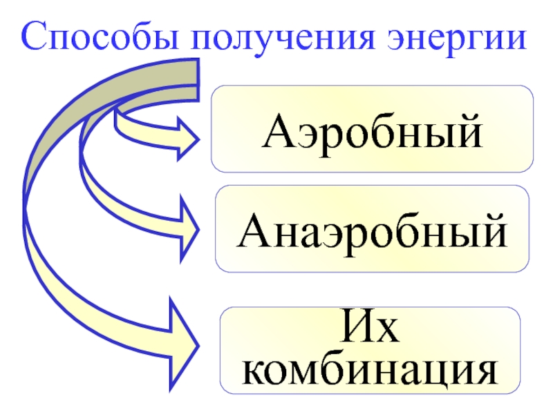 Е обмен