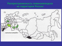 Распространенность гименолепидоза на территории России